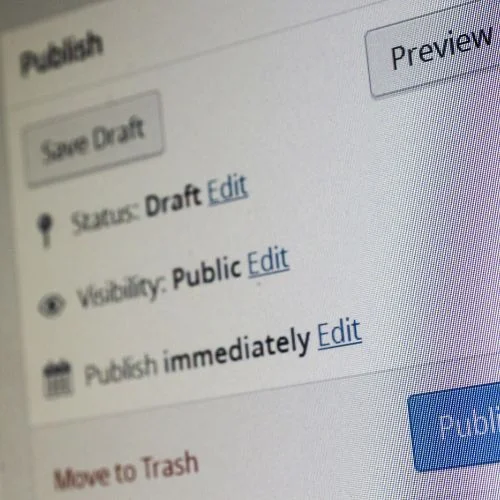 WordPress dashboard showing 'Draft' status for an SEO-optimized content page, set for 'Public' visibility and 'Publish Immediately' option